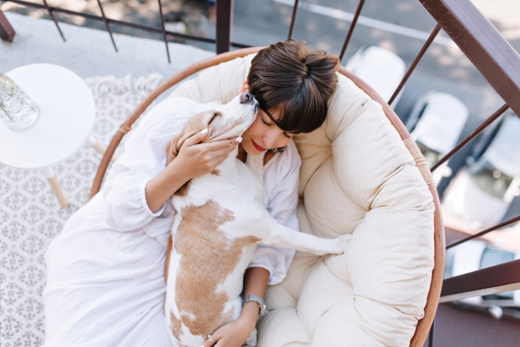 why your dog shouldn't sleep with you, sharing a bed